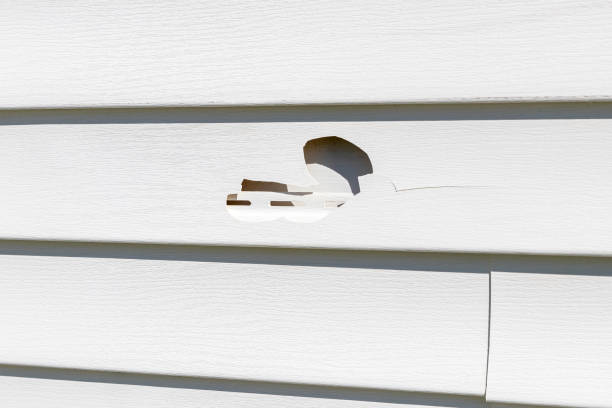 Best Demolition Debris Removal  in St Helena, CA